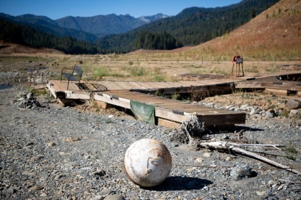 Drought linked to increased human-wildlife conflict in California: study